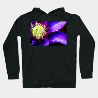 Purple Clematis flower macro Hoodie